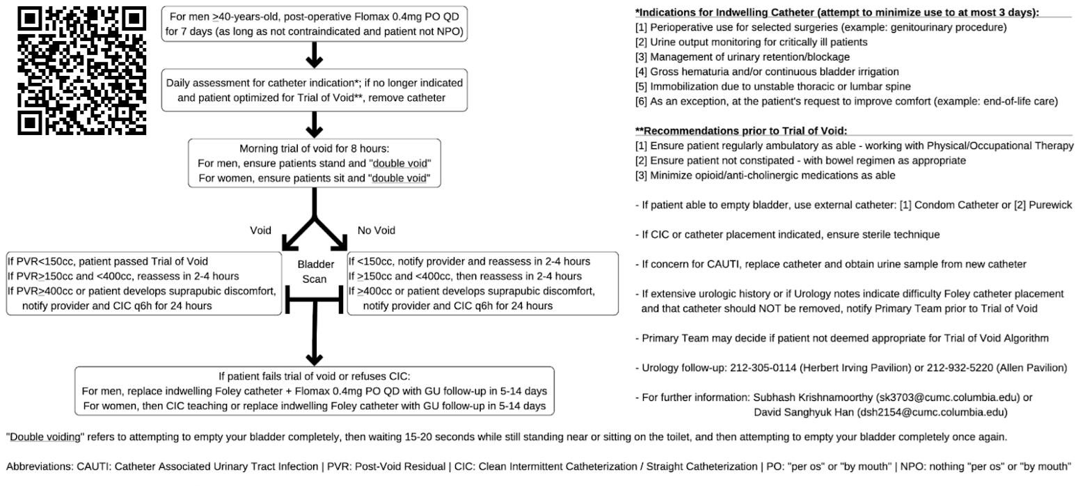 multi-disciplinary-development-and-implementation-of-a-trial-of-void